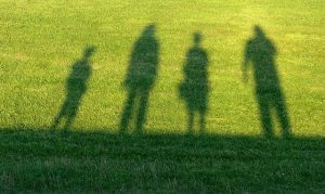 cień rodziny na trawie