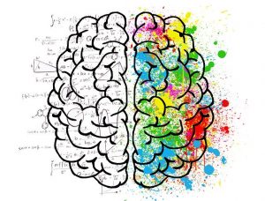 Rysunek mózgu: lewa półkula w działaniach matematycznych, prawa półkula w kolorowych kleksach
