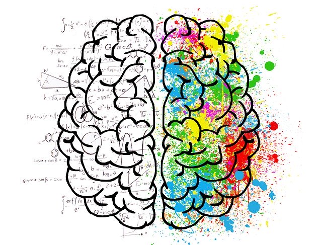 schemat mózgu: lewa półkula w działaniach, prawa półkula w kolorowych kleksach